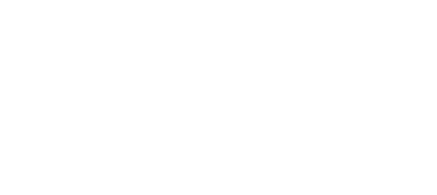 PAVS_logo PAVS_logo