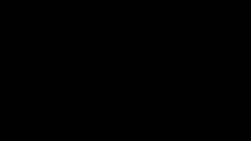 Trinnov ALCI